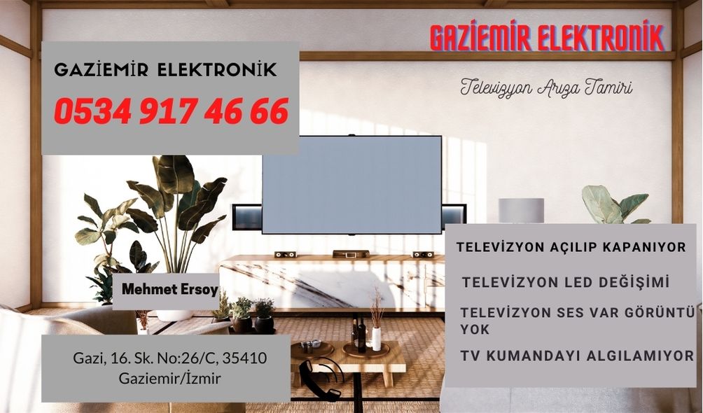 Gaziemir Televizyon Görüntü Gitmesi